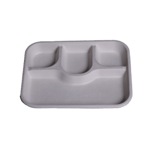 4_CP_MEAL_TRAY_2